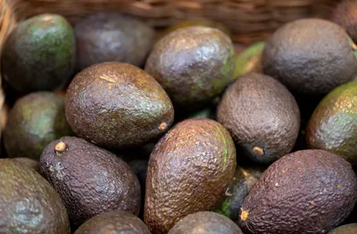 Как правильно выбрать авокадо - Лайфхакер