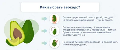 Почему авокадо — настоящий суперфуд - Здоровье Mail.ru