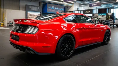 New 2024 Ford Mustang EcoBoost Premium Coupe in Cerritos #240031 | Norm  Reeves Auto Group