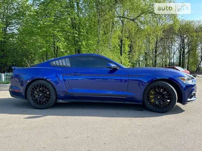 Used 2019 FORD MUSTANG SHELBY GT-H (Heritage) For Sale ($115,750) | Reggia  Auto Group Stock #R1035
