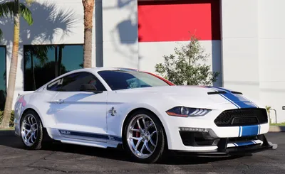 Breaking Down The Specs For The New 2024 Ford Mustang Dark Horse | Bill  Brown Ford