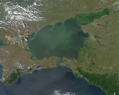 Азовское море — Википедия