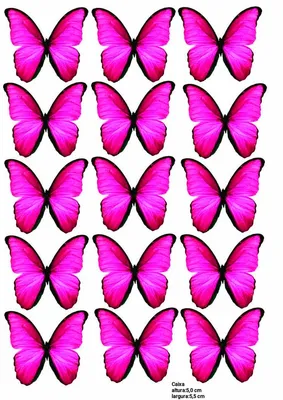 розовые бабочки для распечатки//букет из бабочек | Borboletas para  imprimir, Modelo de borboleta, Convite jardim das borboletas