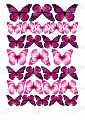 Вафельные картинки «Бабочки» (id 49751595), купить в Казахстане, цена на  Satu.kz