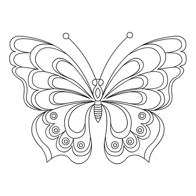 Бабочки. Каталог картинок для фотопечати на натяжных потолках. Заказать  потолкок с бабочкой | Фабрика Удивительных Потолков