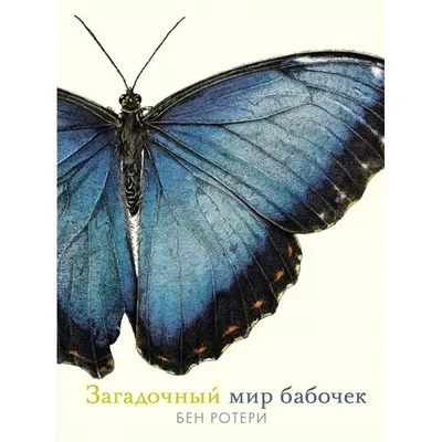 Загадочный мир бабочек. Б. Ротери купить оптом в Екатеринбурге от 932 руб.  Люмна