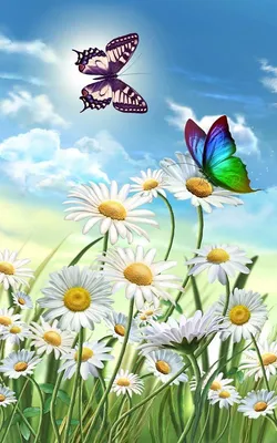 цветы и бабочки | Butterfly painting, Butterfly wallpaper backgrounds,  Butterfly wallpaper