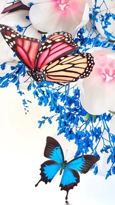 Фигурка на стержне 25см \"Бабочка\", ПВХ, 7-10см, 10-20 цветов купить с  выгодой в Галамарт