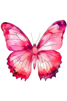 30 000+ картинок и фото бабочек - Скачайте бесплатно - Pixabay
