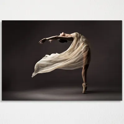 Черно-белые фотографии с рисунком фигурок, холст, живопись, современная  балерина, изящные красивые Фотообои | AliExpress