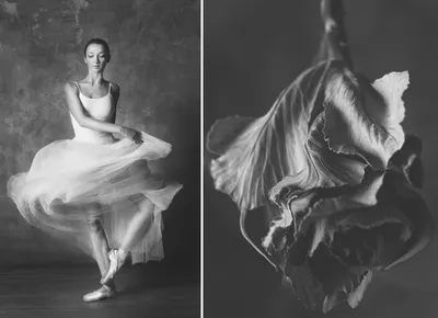 Балерина черно белый рисунок - 66 фото