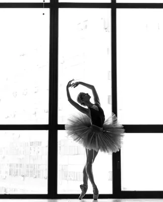 Черный И Белый След Молодой Красивой Балерины, Изолированных На Белом Фоне  Фотография, картинки, изображения и сток-фотография без роялти. Image  38577672