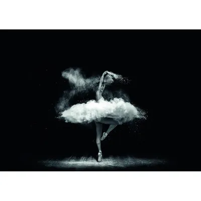 Чёрно-белый лебедь, или один день из жизни нижегородской балерины |  Нижегородская правда