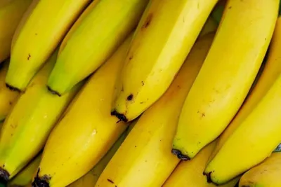 Банан - популярность этого фрукта говорит сама за себя - Pakhotin