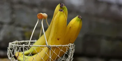 Бананы - состав, витамины, польза и вред для женщин, мужчин и детей —  online.ua