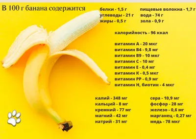 Контейнер для банана SNIPS (SNIPS) - купить в Москве в Williams Oliver