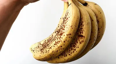 Оказывается, у банана есть косточка! | Улетаем зимовать | Дзен