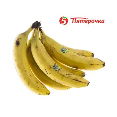 Порошок банана (на развес) 1кг купить в интернет-магазине Vegetus.by