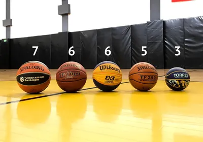 Купить Мяч баскетбольный 7 WILSON NCAA Legend в Минске с дополнительной  скидкой и бесплатной доставкой