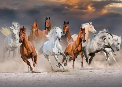 Табун бегущих лошадей» — создано в Шедевруме