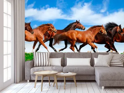 Лошадь Бег Скачущий Бегущая - Бесплатное фото на Pixabay - Pixabay