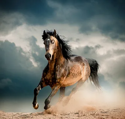 Статуэтка \"Бегущая лошадь\", Rosenthal - Qtti.ru | Бегущие лошади, Лошади,  Животные