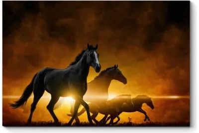 Предметы удачи: картина \"Семь бегущих лошадей\" | ASTROLOGY HORAS | Дзен