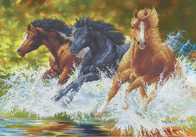 Стадо Диких Лошадей Бегущих В Воде — стоковые фотографии и другие картинки  Лошадь - Лошадь, Животные в дикой природе, Бегать - iStock