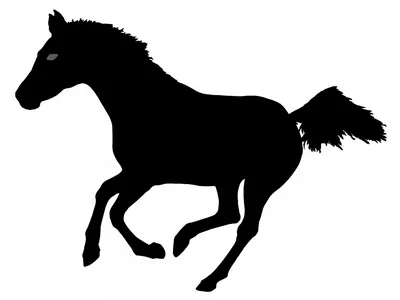 андалузские лошади иллюстрация штока. иллюстрации насчитывающей брызгать -  268306683