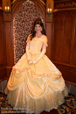 Disney Princess Collection Belle 1 by PrincessAmulet16 on DeviantArt