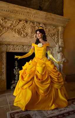Belle/Gallery | Disney princess belle, Disney princess pictures, Belle  disney