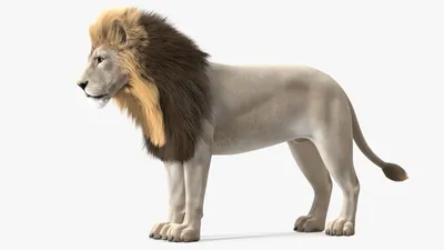 На кончике носа белого льва сидит …» — создано в Шедевруме
