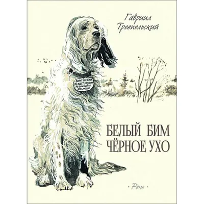 Фильм «Белый Бим Чёрное Ухо» 1977: актеры, время выхода и описание на  Первом канале / Channel One Russia