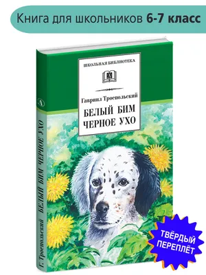 Книга Белый Бим черное ухо Троепольский Г. купить для Бизнеса и офиса по  оптовой цене с доставкой в СберМаркет Бизнес