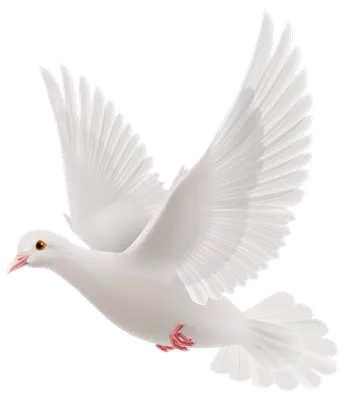 Стая белых голубей летящие на фоне…» — создано в Шедевруме