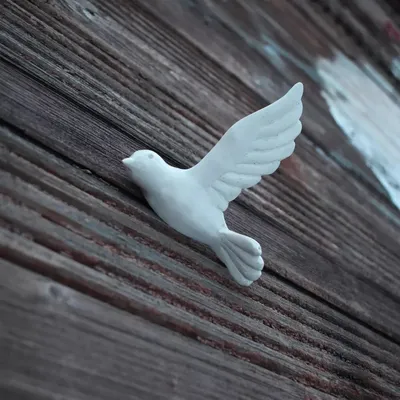 Свет Мира в полете белых голубей (Дария Павлова) / Проза.ру