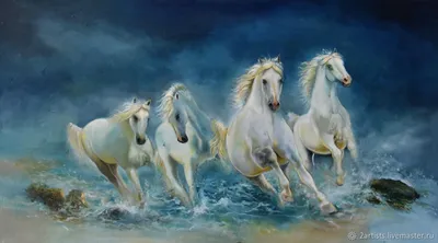 Белый арабский конь | Андалузская лошадь, Породистые лошади, Арабские лошади