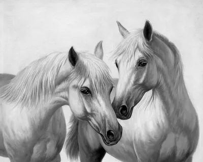 Белые лошади парка Камарг. Фотограф Даниил Коржонов