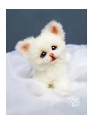Белый пушистый кот - 69 фото