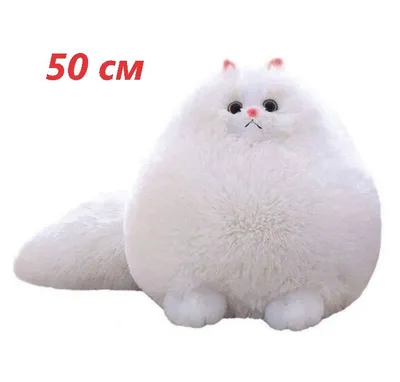 Большой белый пушистый кот мейн кун Stock Photo | Adobe Stock