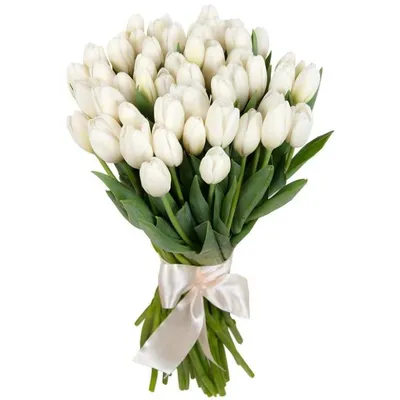 Белые тюльпаны в коробке от 51 шт. за 9 990 руб. | Бесплатная доставка  цветов по Москве