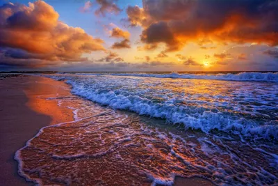 усыпанный ракушками песчаный берег захватывающий вид на океан и небо, морской  берег, путешествия вода, море фон картинки и Фото для бесплатной загрузки
