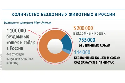 Фонд «Умка» проводит бесплатную стерилизацию бездомных кошек и собак  благодаря соцпроекту » Новости Владивостока и Приморского края - Вести:  Приморье