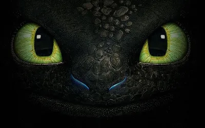 Обои глаза беззубика из фильма как приручить дракона