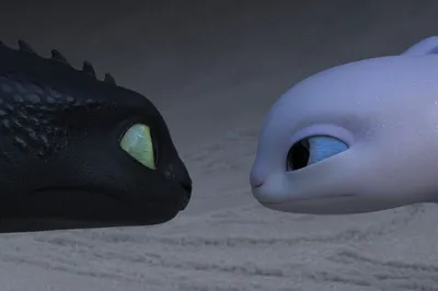 Беззубик встречает свою любовь на новых кадрах из «Как приручить дракона 3»