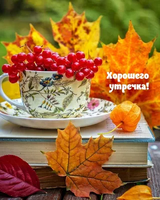 🍁🍂🍁 Доброго осеннего утра 🌅 хорошего дня и отличного 😊 настроения... |  TikTok