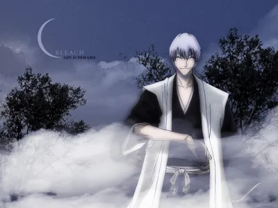 Download wallpaper Anime, bleach, Aizen, section other in resolution  1920x1080