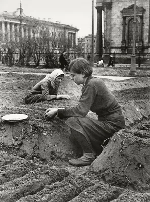 Картинки Блокада Ленинграда фотографии