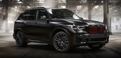 New 2024 BMW X5 in Los Angeles, CA | Beverly Hills BMW