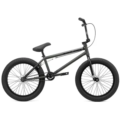 Adult BMX bikes | Shop BMX bikes for adults at Back Bone BMX